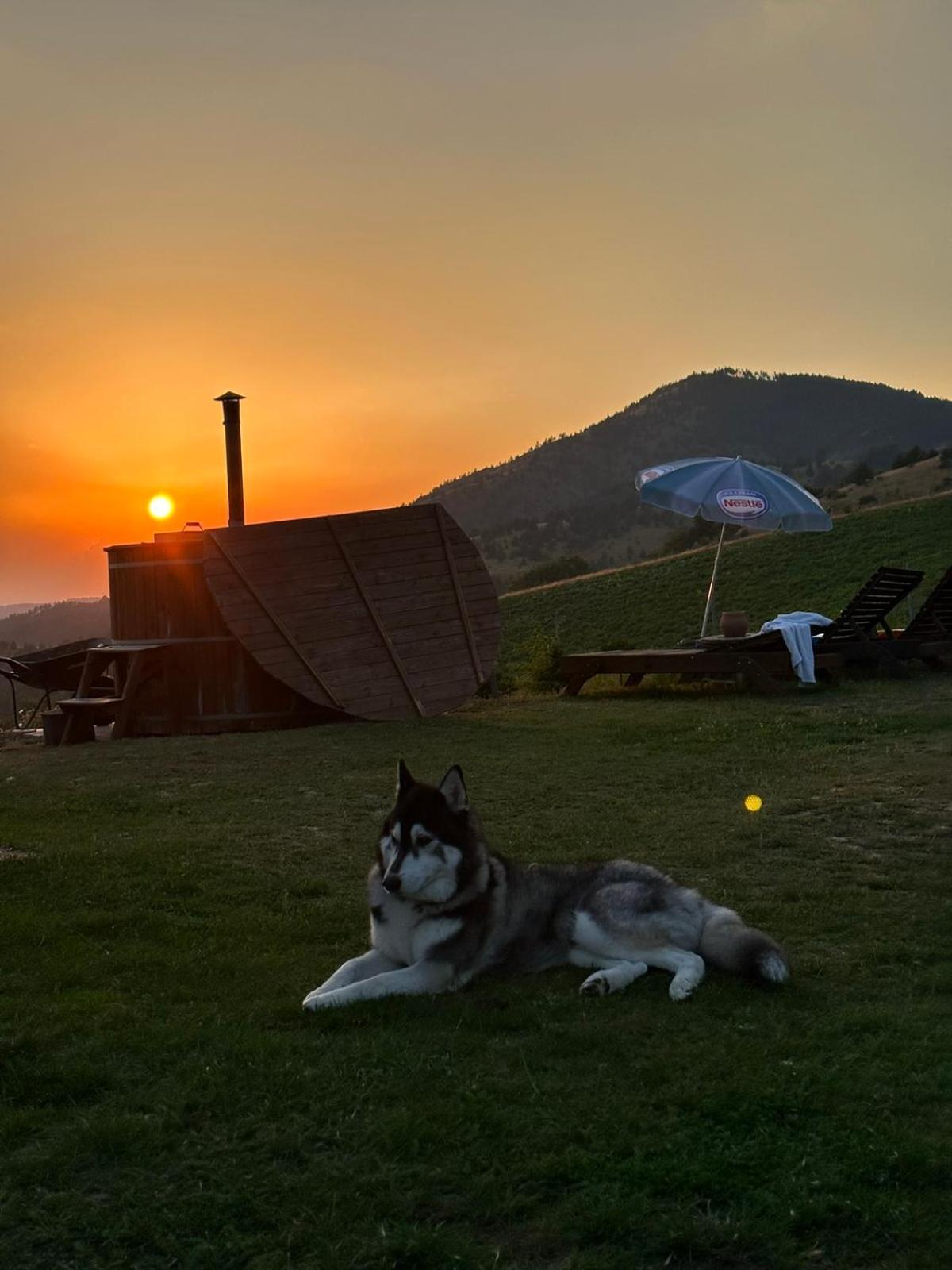 Vikendica Rankovici Mokra Gora Exterior foto
