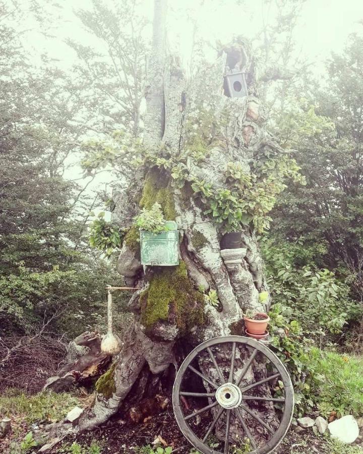Vikendica Rankovici Mokra Gora Exterior foto