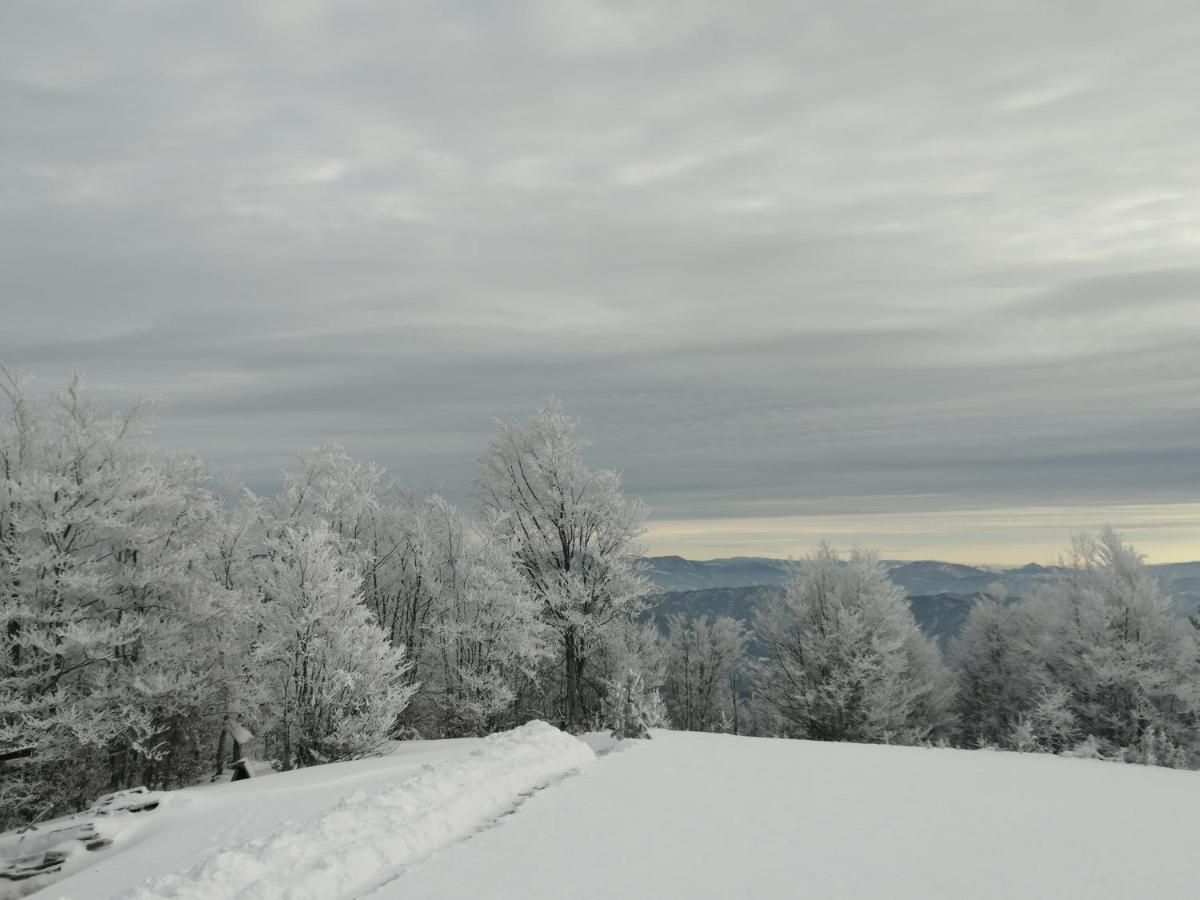 Vikendica Rankovici Mokra Gora Exterior foto