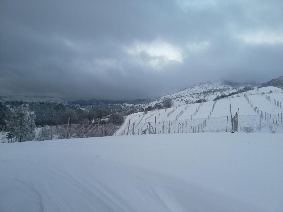 Vikendica Rankovici Mokra Gora Exterior foto